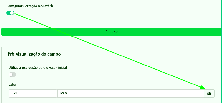 Visualização do campo Valor Monetário